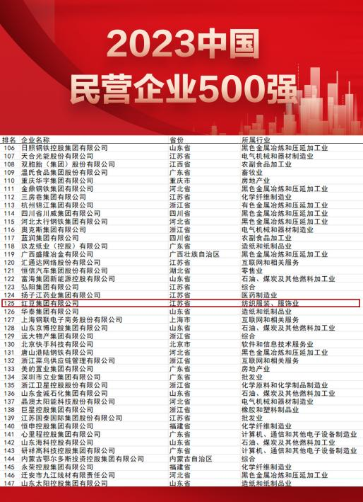 民企500強 民企500強